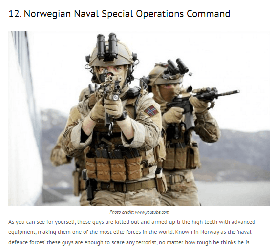 12._Norwegian_Naval_Special_Operations_Command-nigerian-newspapers