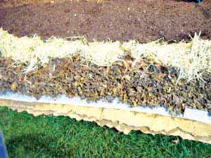 No-dig-sheet_layering-lasagna-gardening-gardening