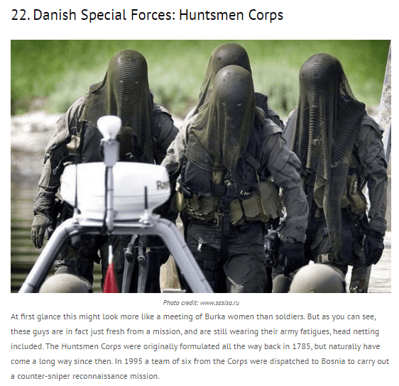 22._Danish_Special_Forces__Huntsmen_Corps-nigerian-newspapers
