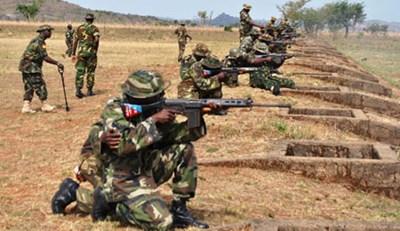 311014F-Nigerian-Army-Fight