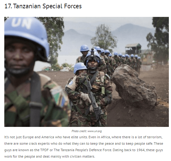 17._Tanzanian_Special_Forces-nigerian-newspapers