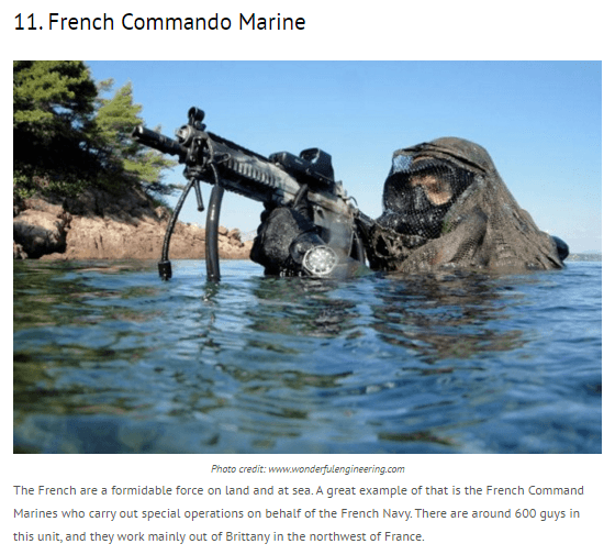 11._French_Commando_Marine-nigerian-newspapers